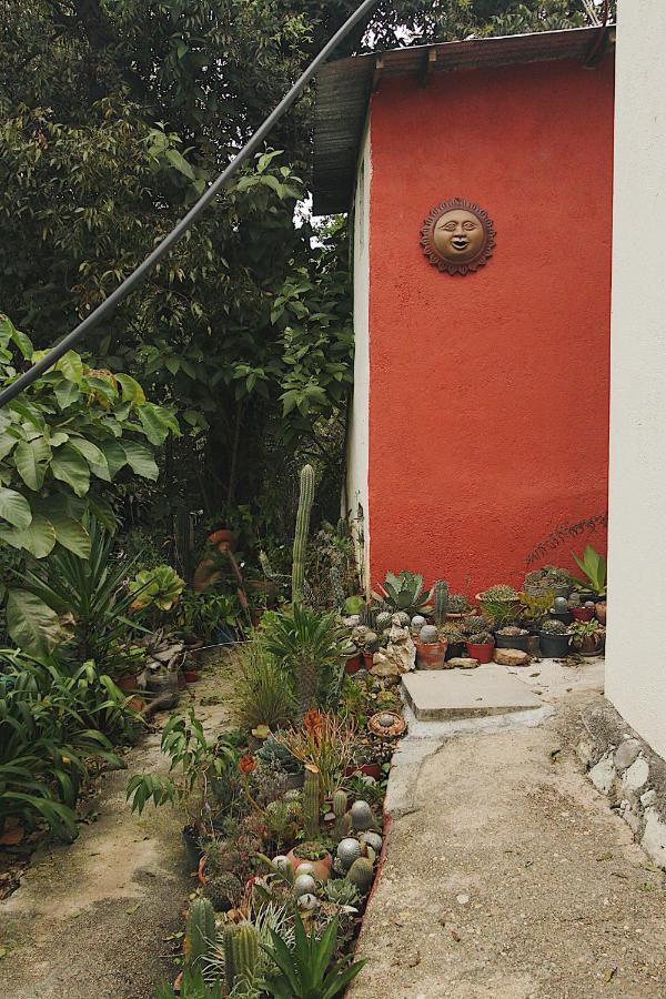 Cabana Campestre En Oaxaca Bagian luar foto