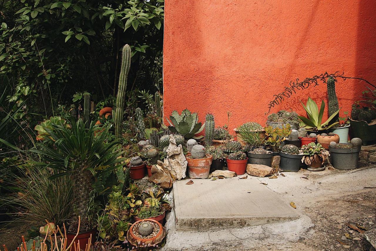 Cabana Campestre En Oaxaca Bagian luar foto