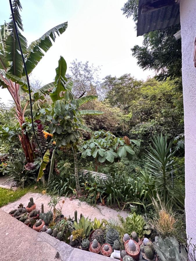 Cabana Campestre En Oaxaca Bagian luar foto
